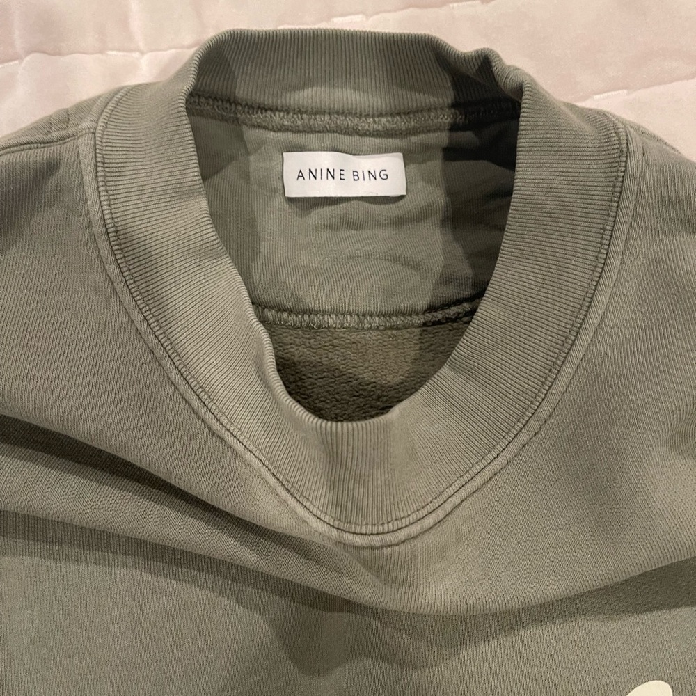 Anine bing sweatshirt